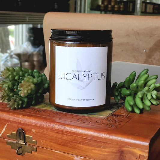 Eucalyptus 8oz candle